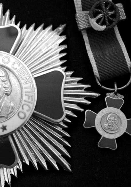 Insígnias da Ordem Nacional do Mérito Científico: a placa em forma de estrela e a medalha em cruz presa à fita.